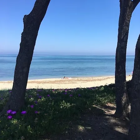Сasa de vacaciones Dans Avec Piscine, Tennis Et Direct A La Plage En Corse