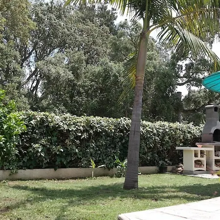 Dans Avec Piscine, Tennis Et Direct A La Plage En Corse Prunete