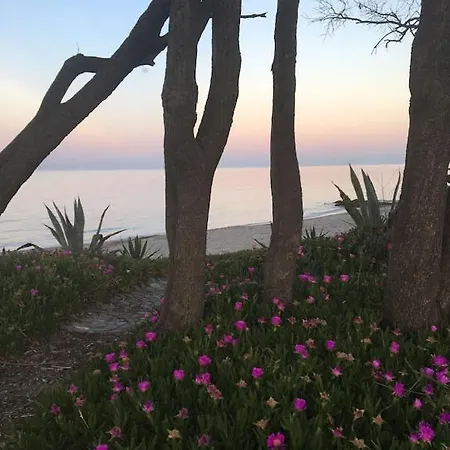Dans Avec Piscine, Tennis Et Direct A La Plage En Corse *